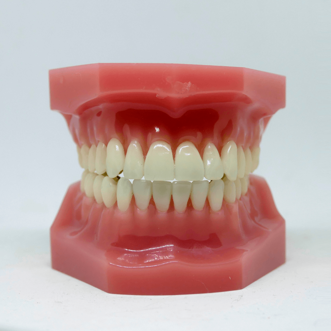 clinica dental riola